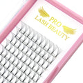 PRO LASHBEAUTY Premade Volume Lashes 5D-C/D, 0.07/0.10, 9–20mm