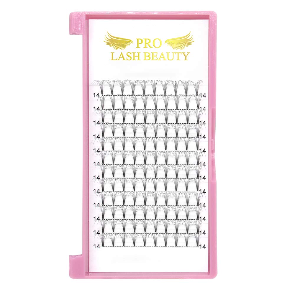 PRO LASHBEAUTY Premade Volume Eyelash Extensions – Short Stem 8D-C, 0.07/0.10, 10mm