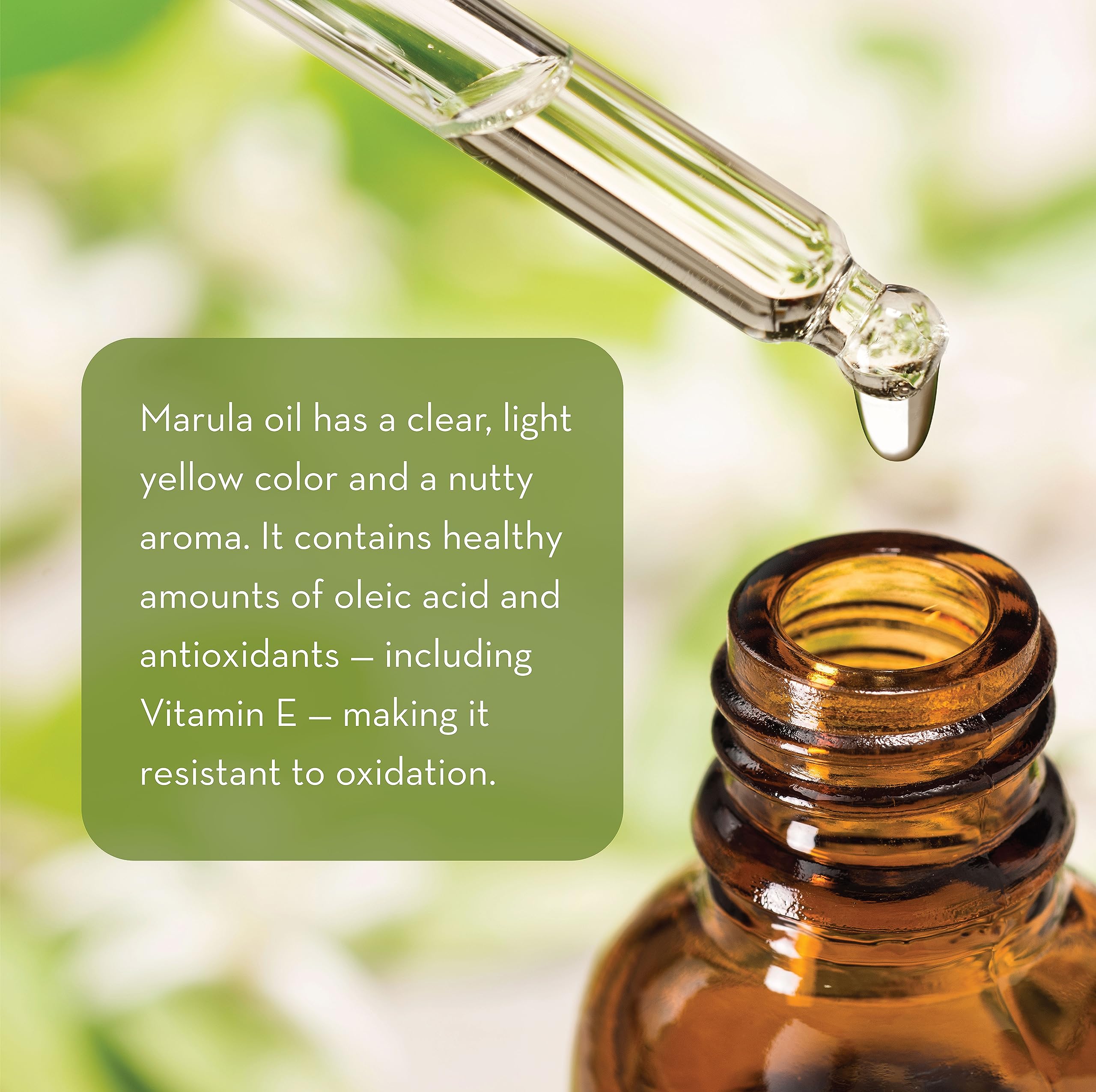 Pure Body Naturals Marula Facial Oil | 1 fl oz | Cold-Pressed, Refined Luxury Oil for Face & Hair – Vegan, Gluten-Free