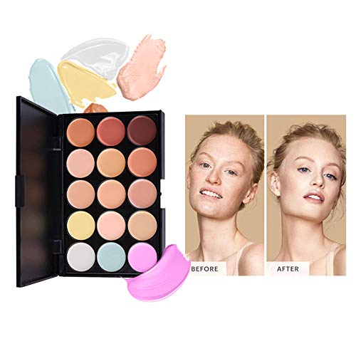 Pure Vie All-in-One Holiday Gift Makeup Set – Complete Starter Bundle