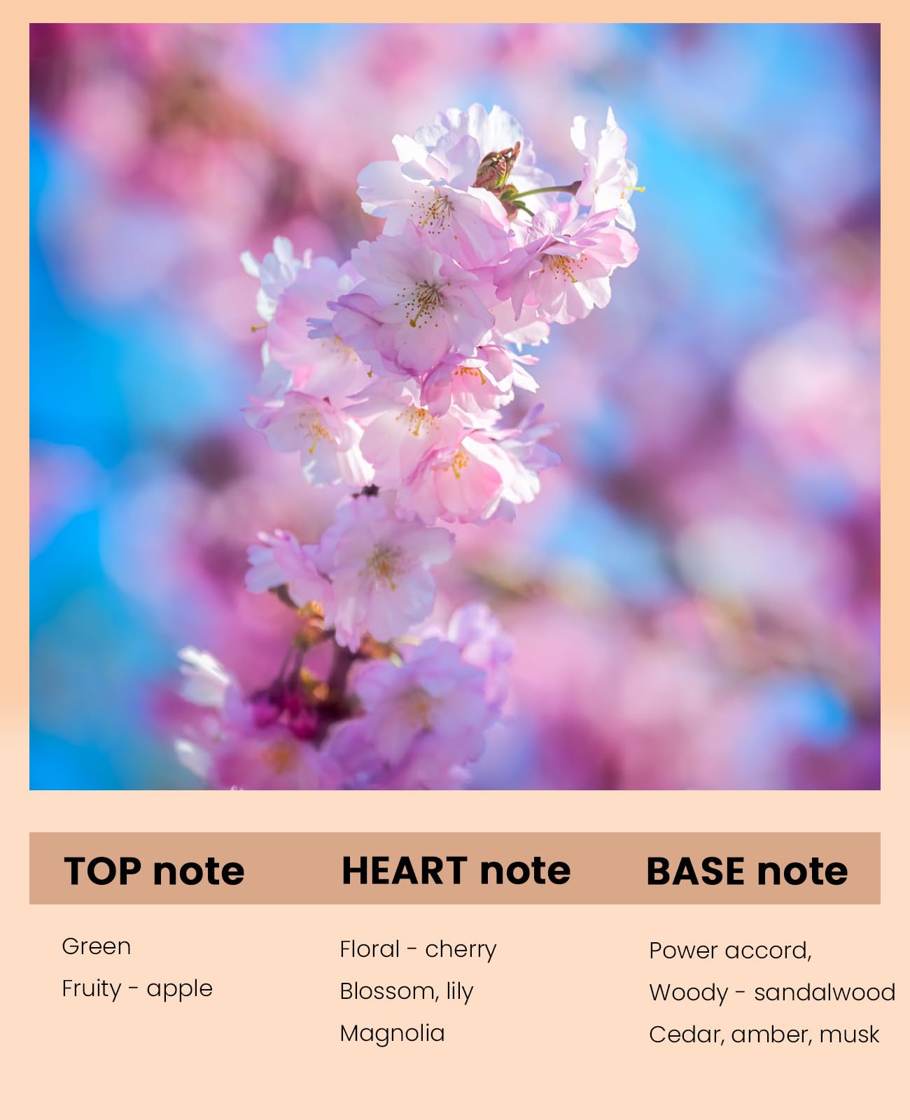 PUREAMOR Cherry Blossom Perfume Oil for Women – Eau de Parfum