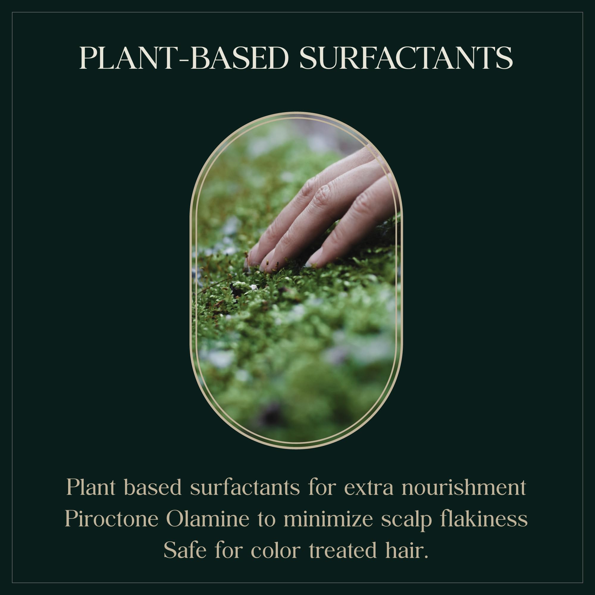 PUREBBLE Anti-Hair Loss Shampoo Botanic Cellcare 500ml – pH Balanced, Sulfate-Free, Color-Safe