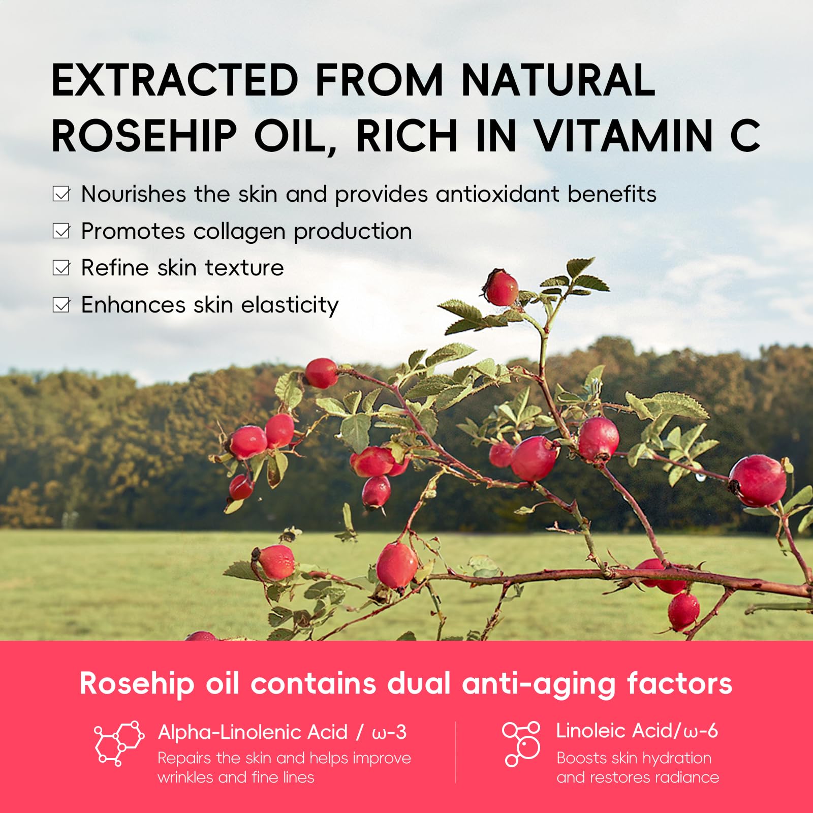 QUIYUM Rosehip Skin Care Sets – 6-Piece Moisturizing Kit for Elasticity, Texture, and Even Tone