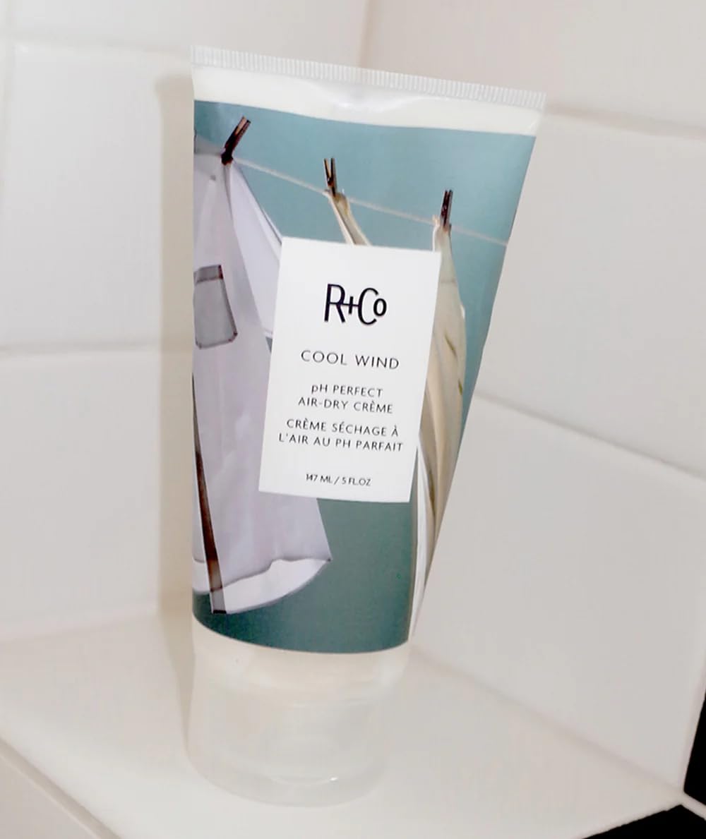 R+Co Cool Wind pH Perfect Air Dry Creme (5 oz) + Bonus Deluxe Sample (0.5 oz) | Hydrates, Tames, Softens | Vegan + Cruelty-Free