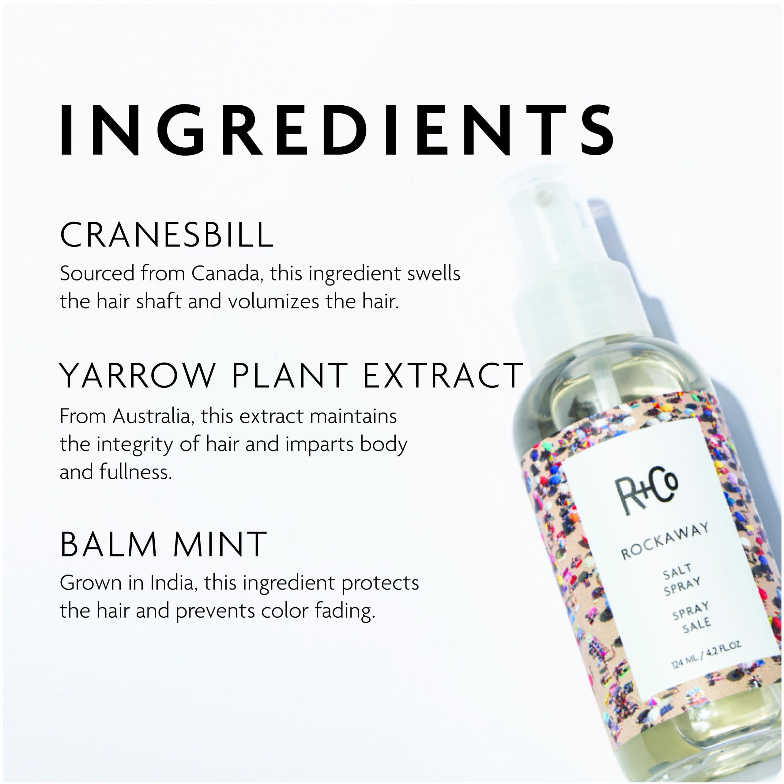 R+Co Rockaway Salt Spray 124 ml – Beachy Volume & Texture