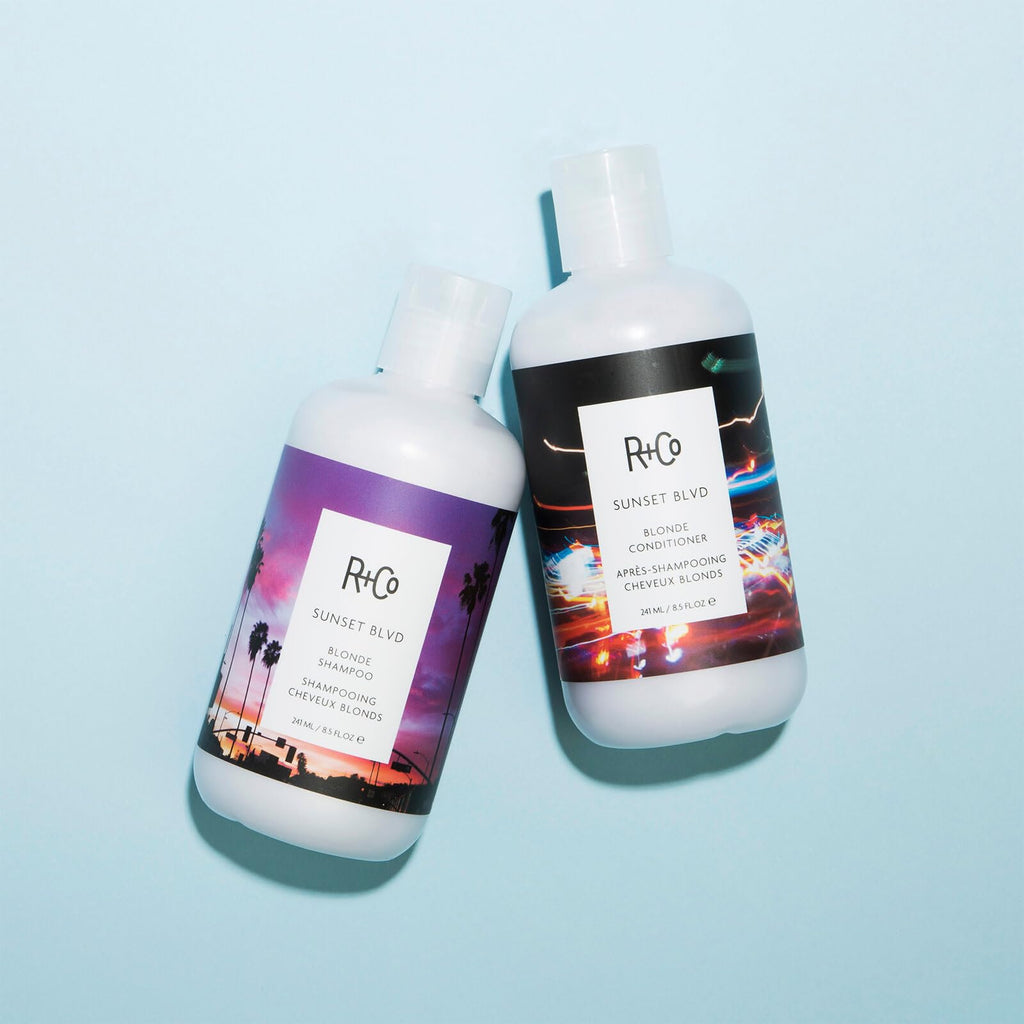 R+Co Sunset Blvd Daily Blonde Shampoo | Daily Brightening + Combats Brassiness + Hydrating | Vegan + Cruelty-Free | 8.5 Fl Oz