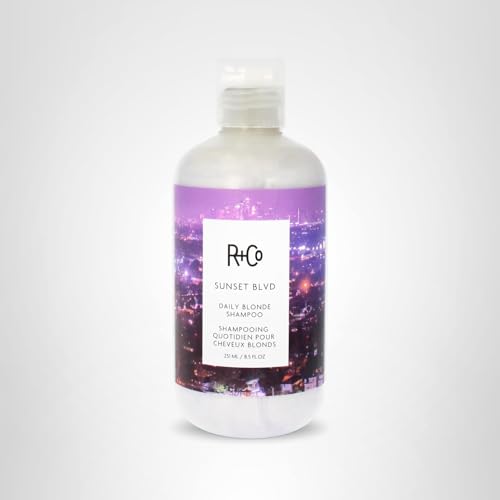 R+Co Sunset Blvd Daily Blonde Shampoo | Daily Brightening + Combats Brassiness + Hydrating | Vegan + Cruelty-Free | 8.5 Fl Oz