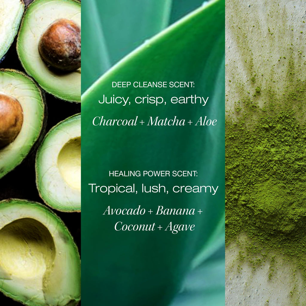 Raw Sugar Deep Cleanse Shampoo & Moisture Smoothie Mask Duo – SLS/SLES & Paraben-Free, Vegan