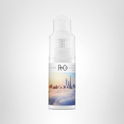 R+Co Skyline Dry Shampoo Powder | Intense Oil Absorption & Volume | TSA Approved | 1 fl oz
