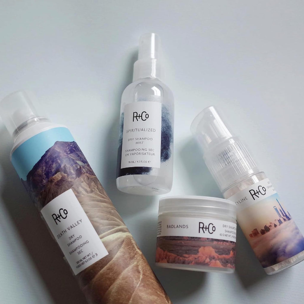 R+Co Skyline Dry Shampoo Powder | Intense Oil Absorption & Volume | TSA Approved | 1 fl oz