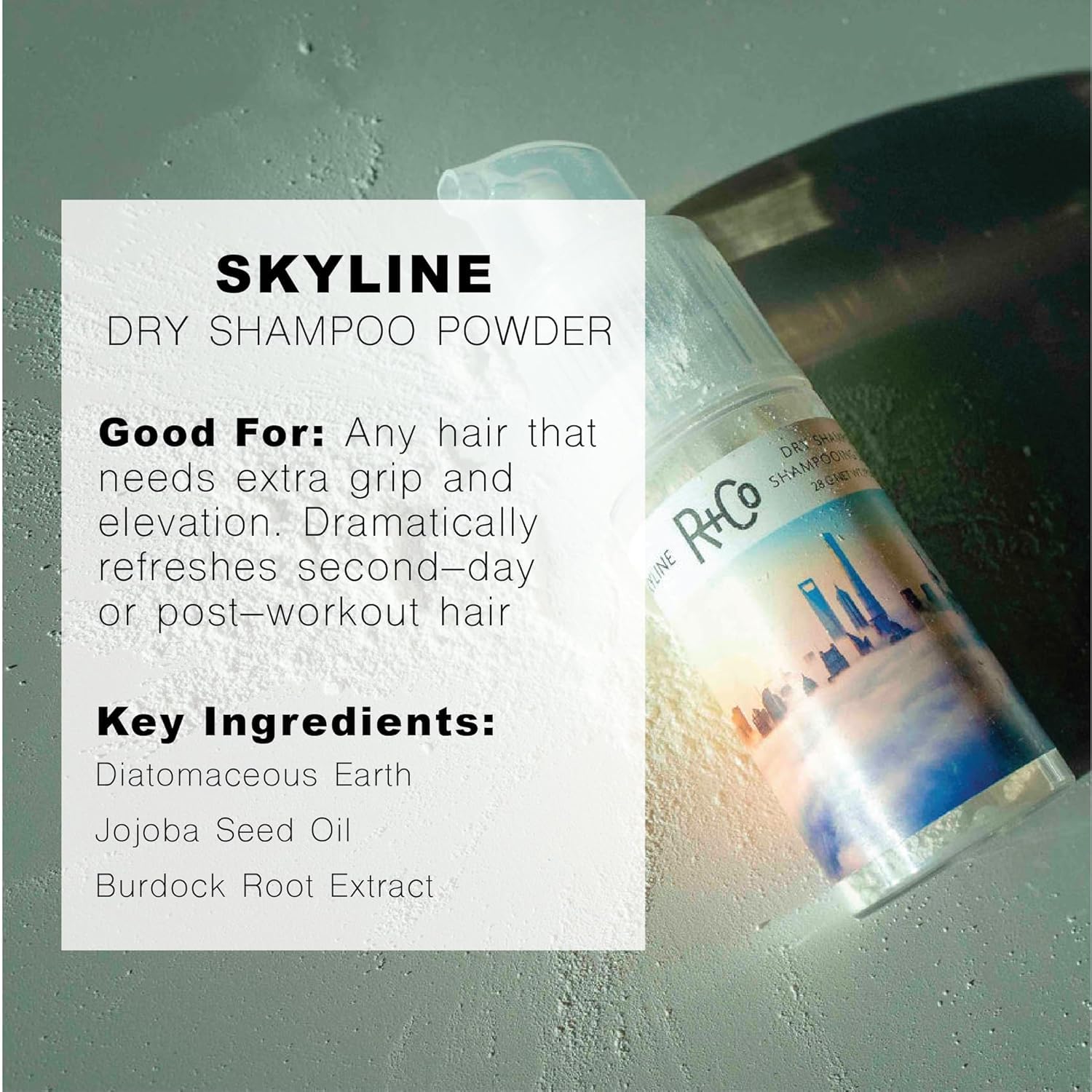 R+Co Skyline Dry Shampoo Powder | Intense Oil Absorption & Volume | TSA Approved | 1 fl oz