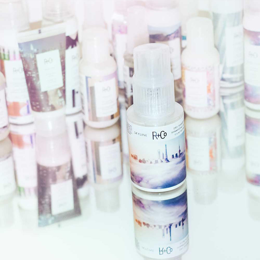 R+Co Skyline Dry Shampoo Powder | Intense Oil Absorption & Volume | TSA Approved | 1 fl oz
