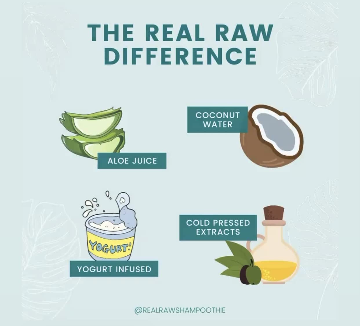 Real Raw Tea Tree Shampoo & Conditioner Set — No Water, 100% Pure Aloe Vera Juice & Coconut Water