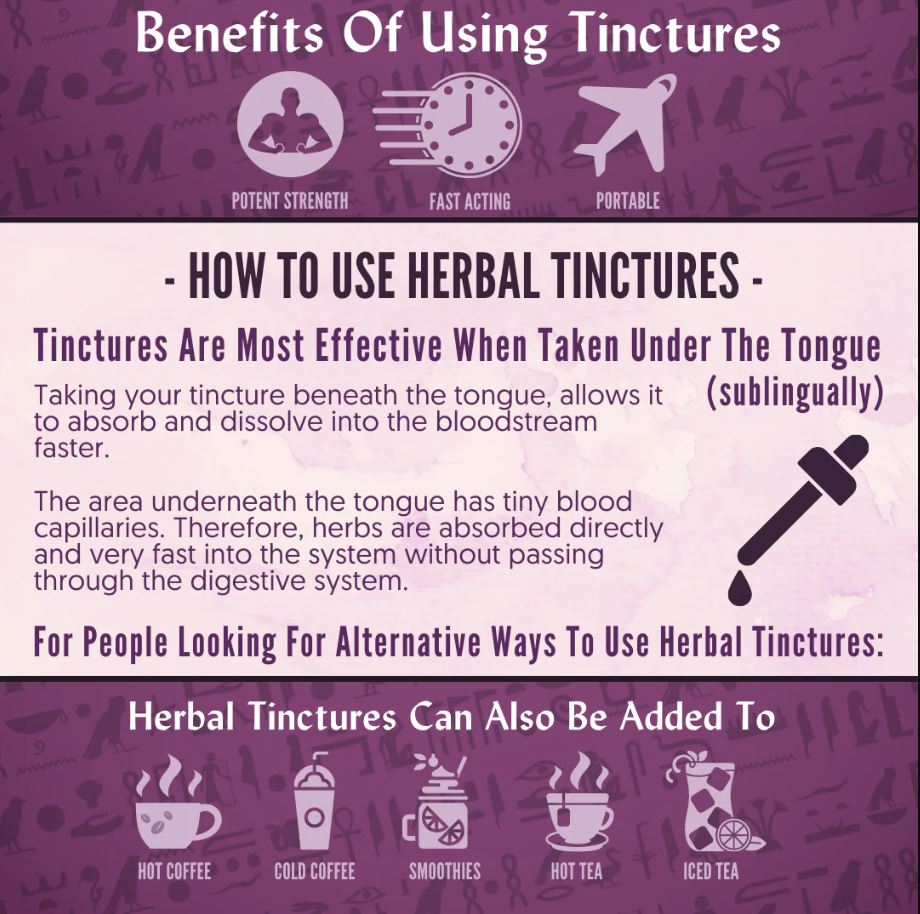 Organic Red Clover Tincture - MENOPAUSE SUPPORT