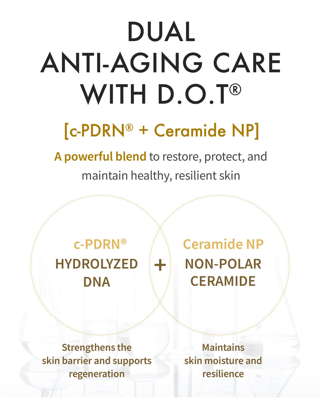REJURAN Dual Effect Ampoule DOT DUAL c-PDRN Salmon DNA – Deep Rejuvenation, Wrinkle Care & Firming (Korean Skincare)