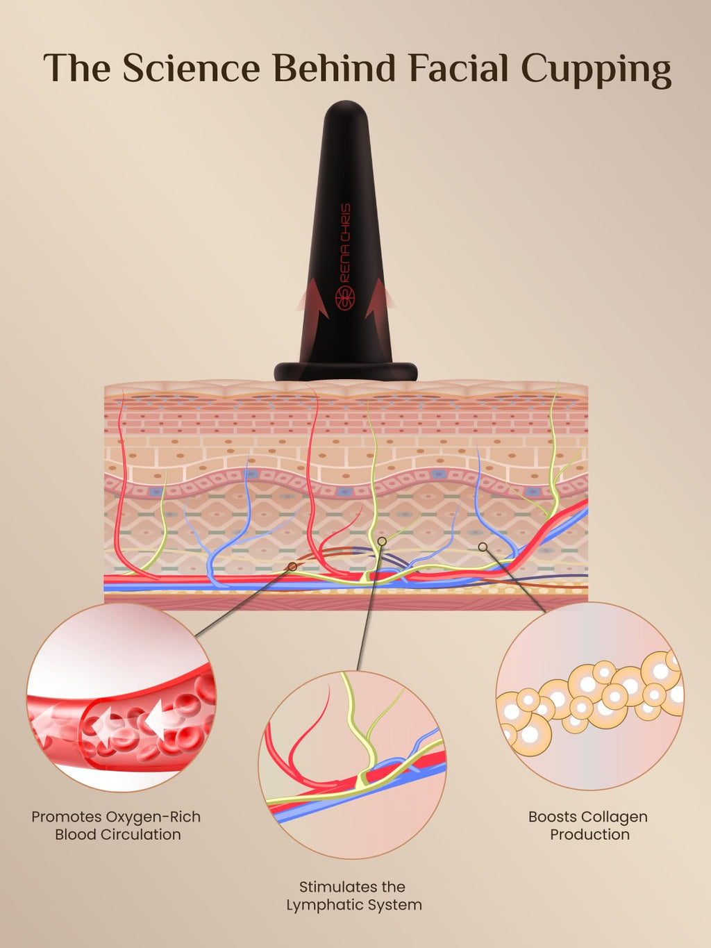Rena Chris Facial Cupping Set & Gua Sha Tool – Silicone Cups + Obsidian Stone