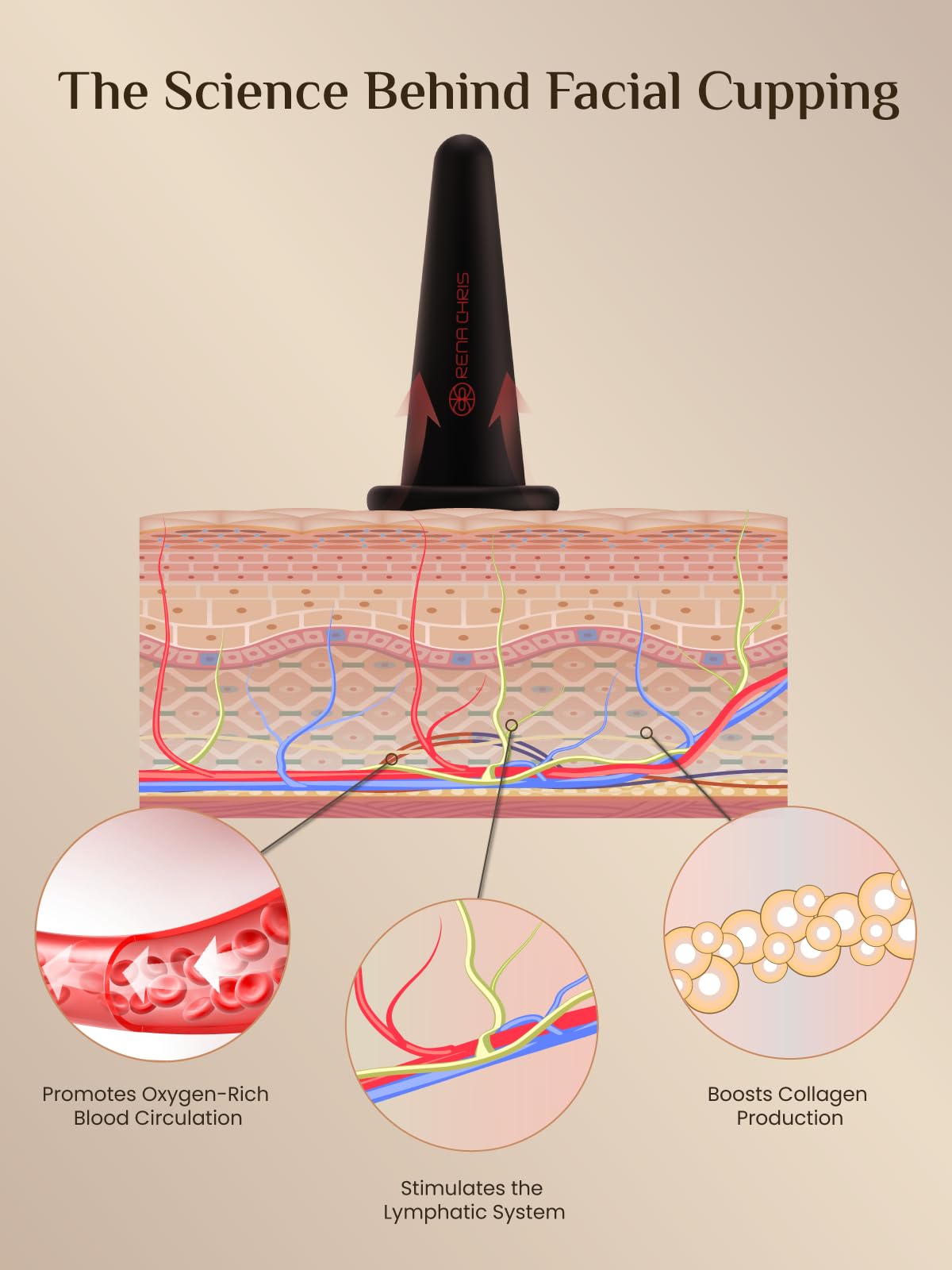 Rena Chris Facial Cupping Set & Gua Sha Tool – Silicone Cups + Obsidian Stone