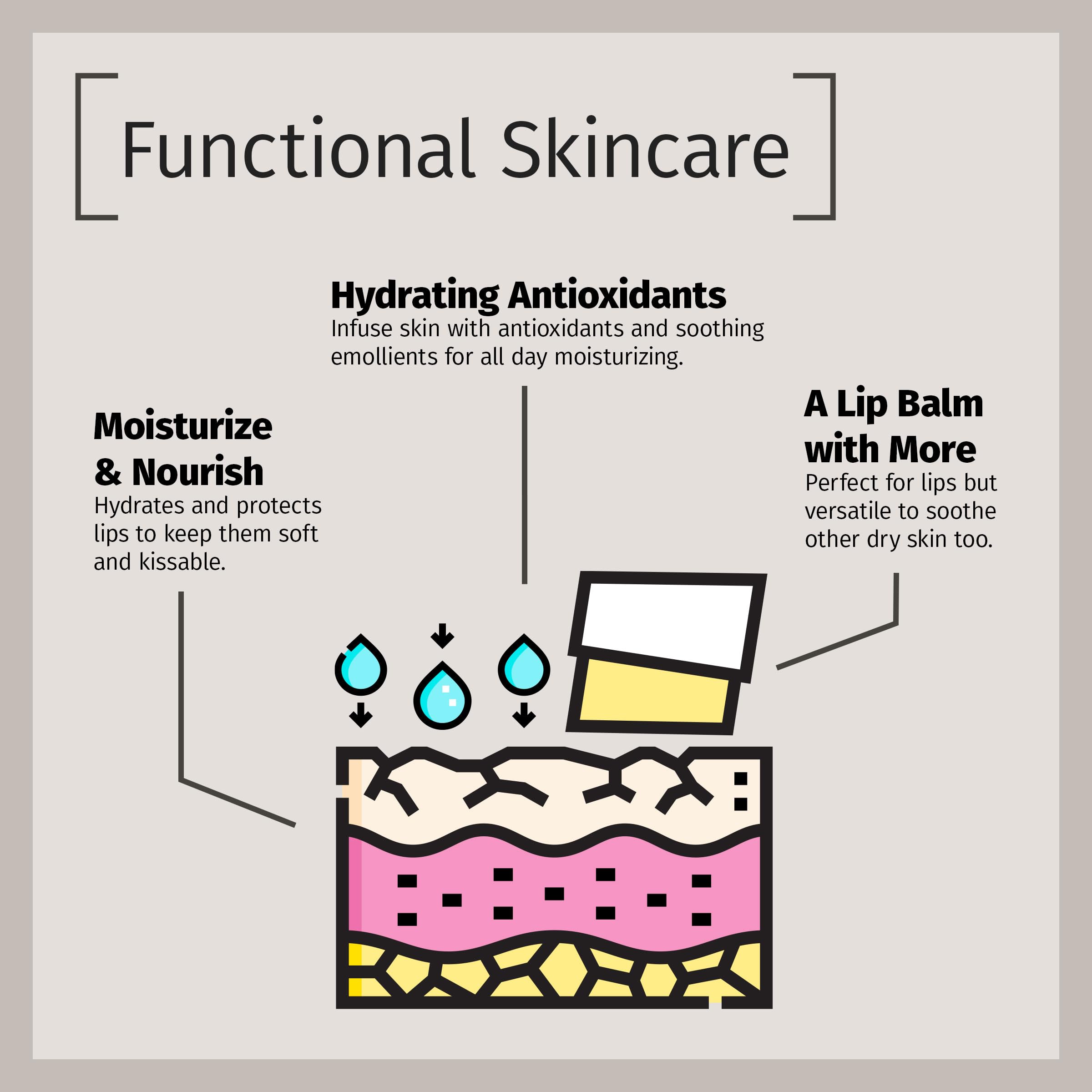 Reviva Labs Vitamin E Stick – Hydrating Lip Balm & Under-Eye Care (Pack of 12)