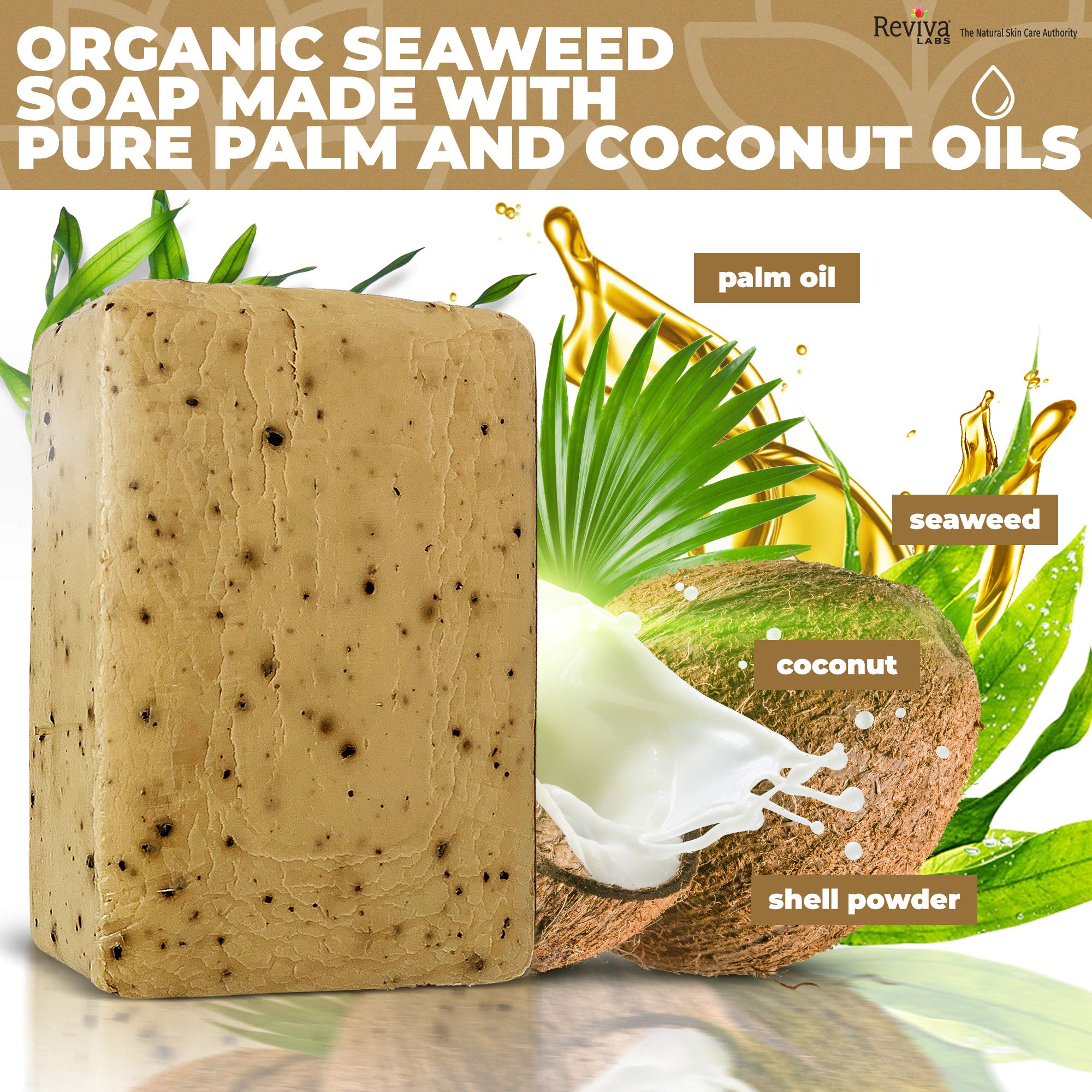 Reviva Seaweed Soap 4-Pack | Organic Seaweed Face Scrub & Exfoliating Body Bar - 4.5 oz | Made in USA