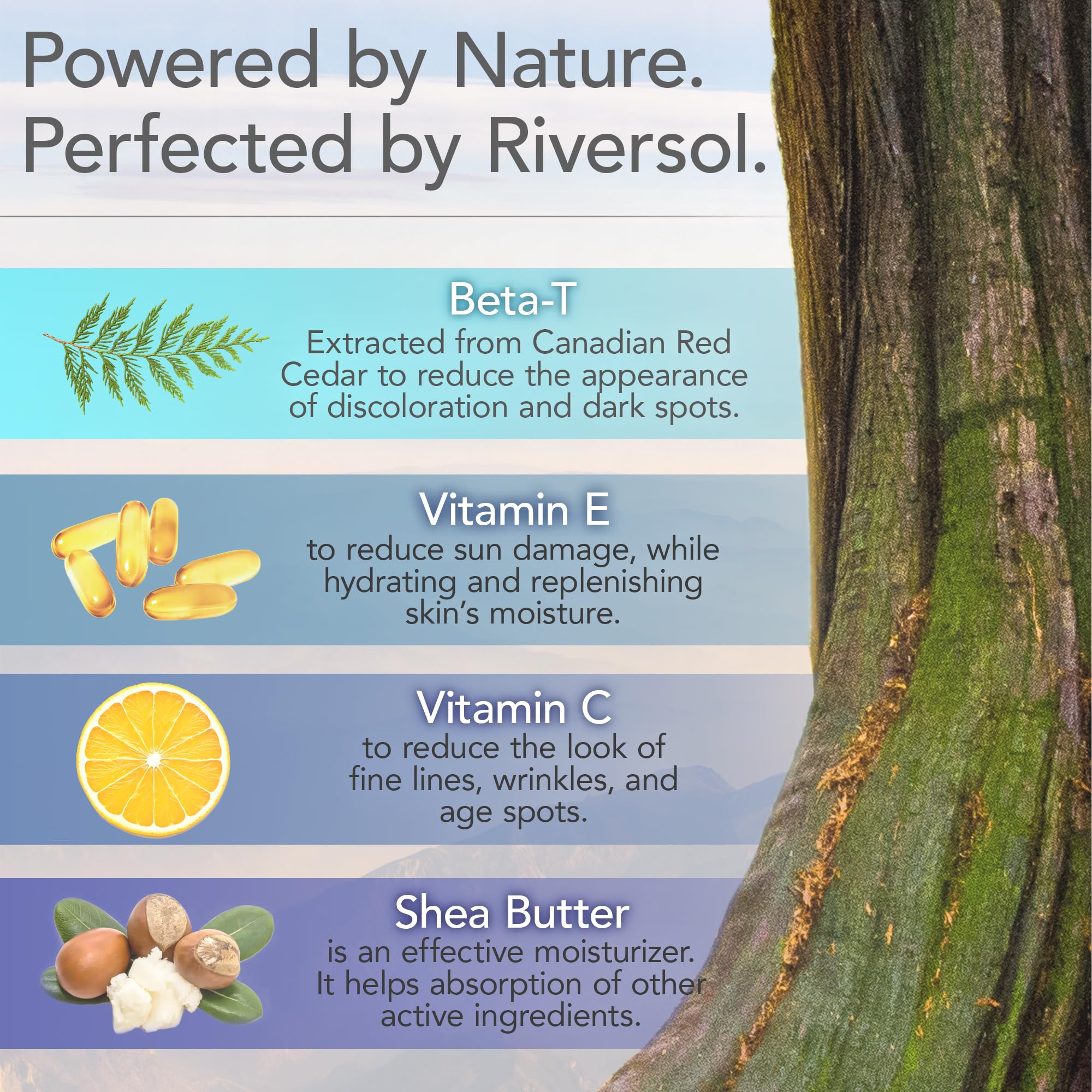 Riversol Daily Face Moisturizer – Lightweight Hydration with Vitamin C & E
