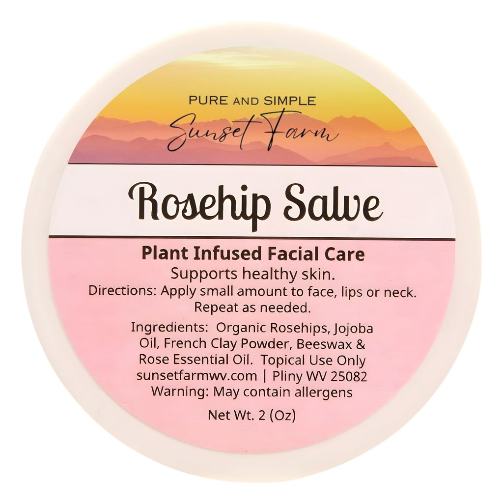 Rosehip Salve for Nourished Face & Skin | Organic, Non-GMO, Small-Batch Herbal Balm | Family Made in WV | 2 oz Jar