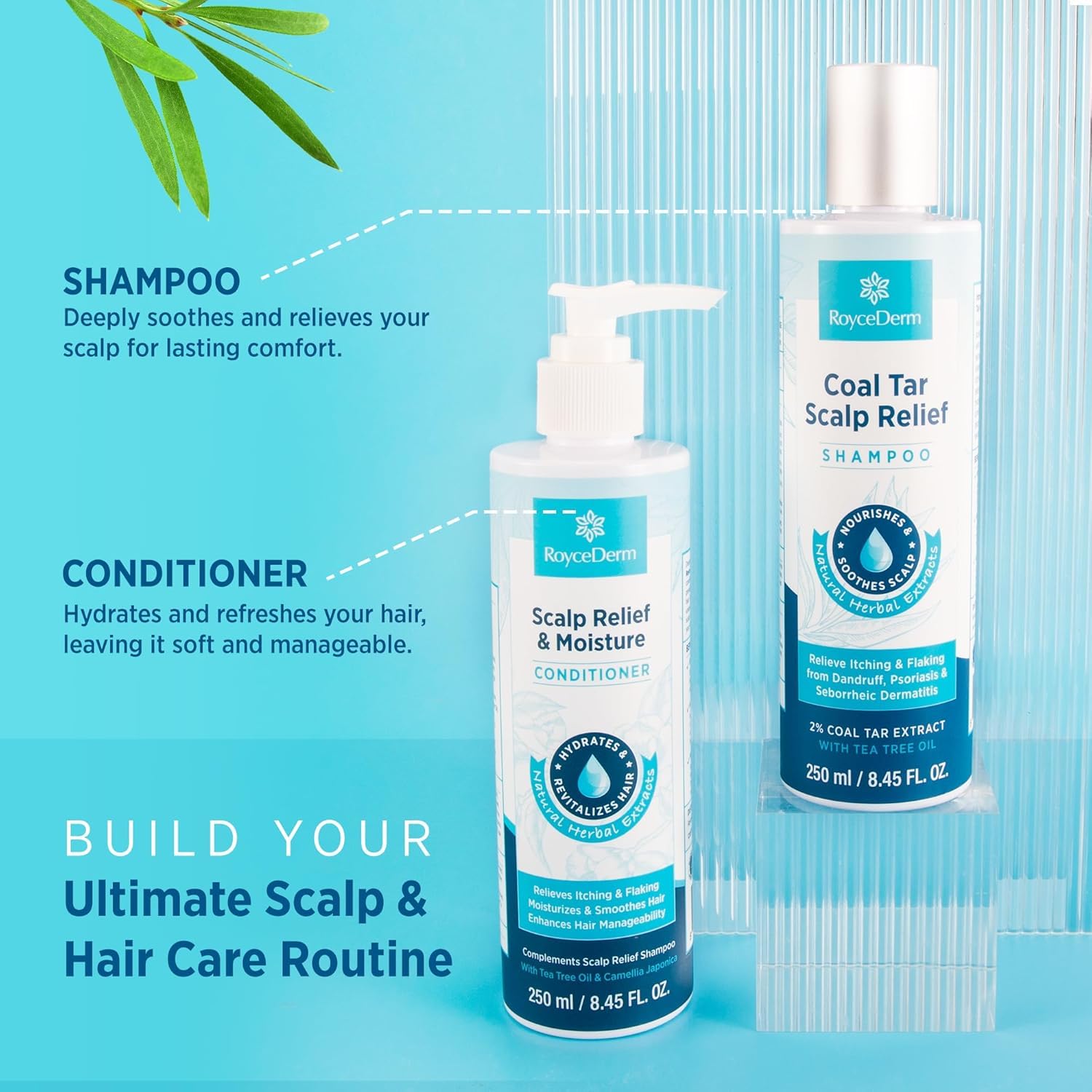 Roycederm Coal Tar Dandruff Shampoo – Extra Strength 2% Coal Tar, Hydrating Natural Formula, 2 Pack