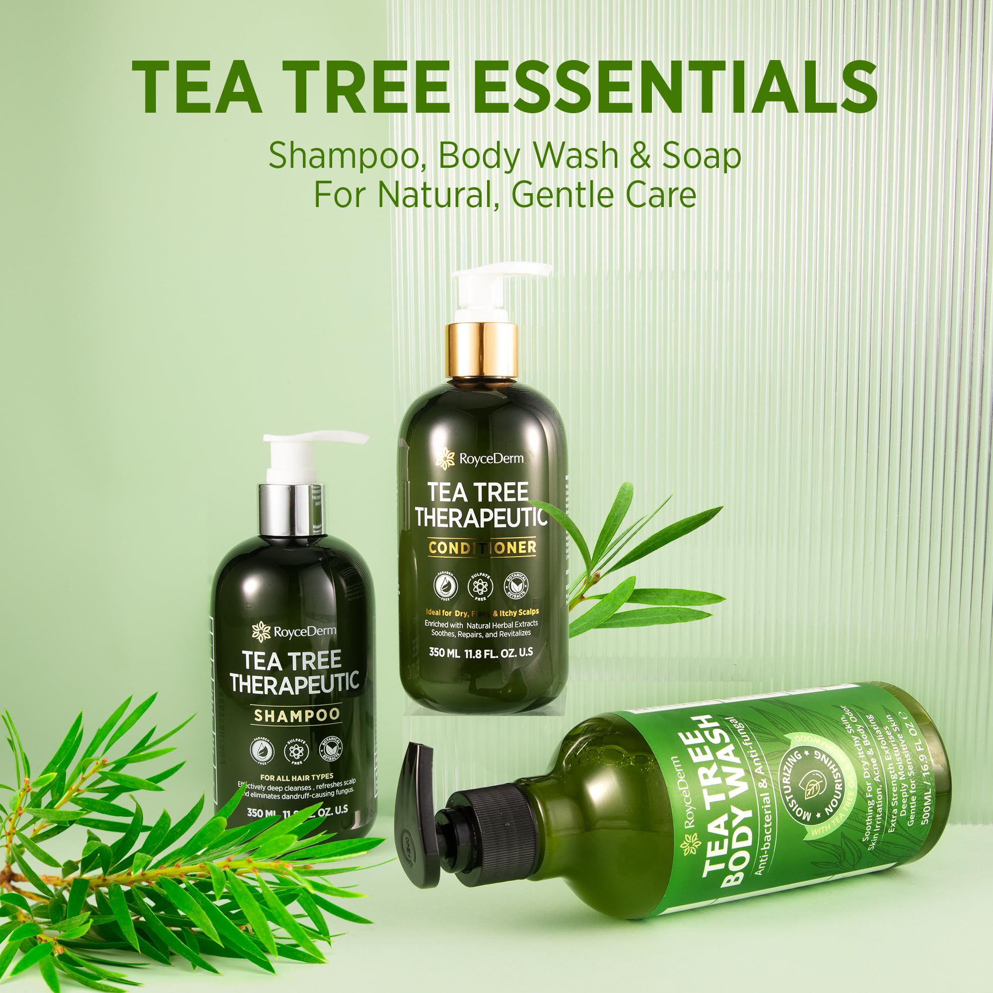 Roycederm Tea Tree Antifungal Shampoo 2 Pack | Folliculitis & Dry Scalp Care