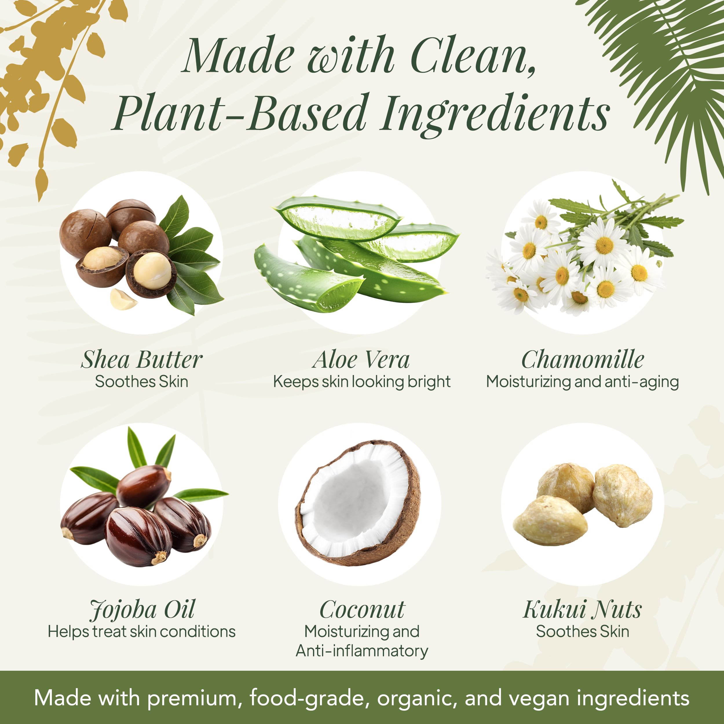 Saavy Naturals Moisturizing Body Wash for Sensitive Skin — Coconut Oil, Shea Butter & Aloe Vera | Paraben-Free, Cruelty-Free | Tropical Coconut | 8.5 fl oz, 2 pack