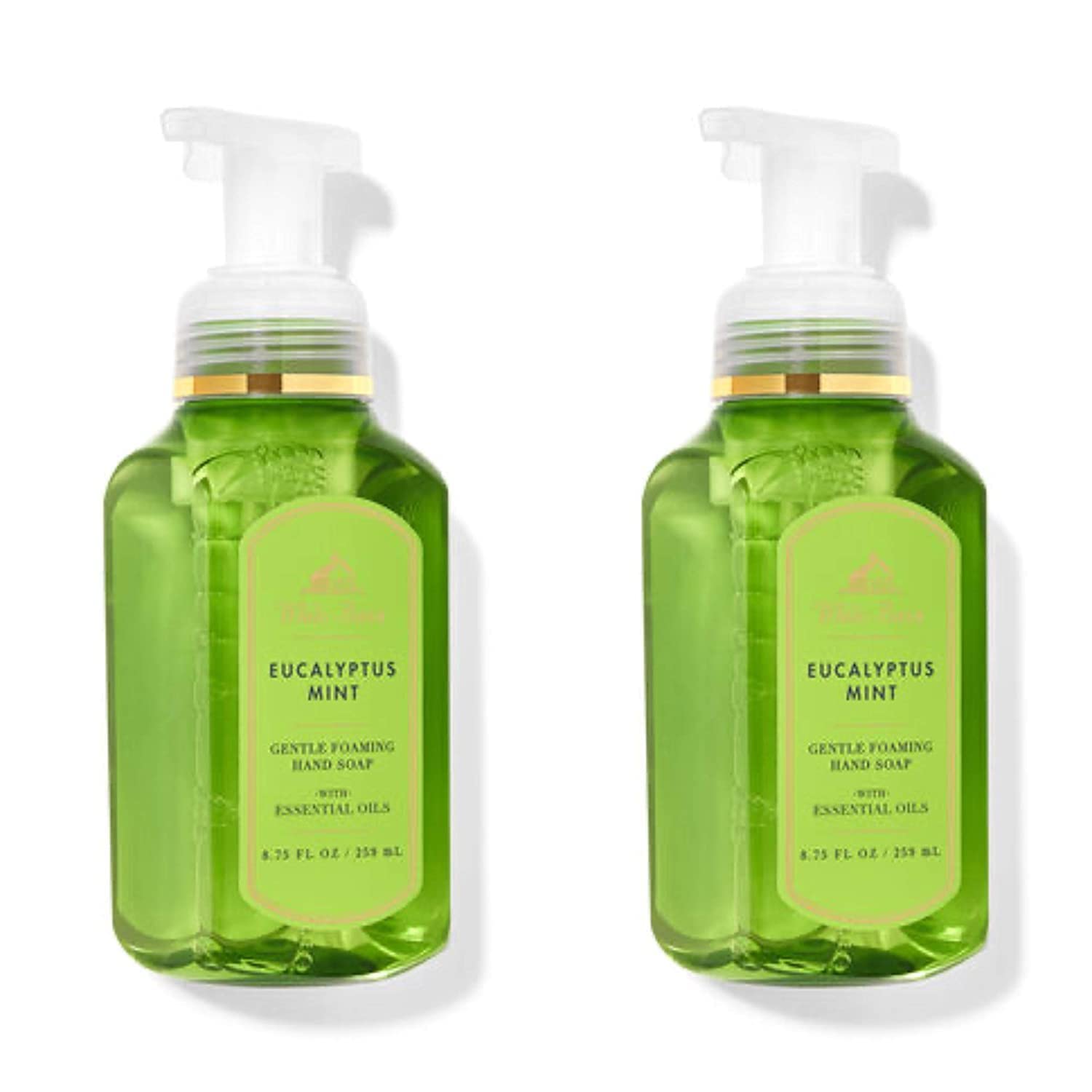 Sameriver Eucalyptus Mint Gentle Foaming Hand Soap - 2-Pack, 8.75 oz