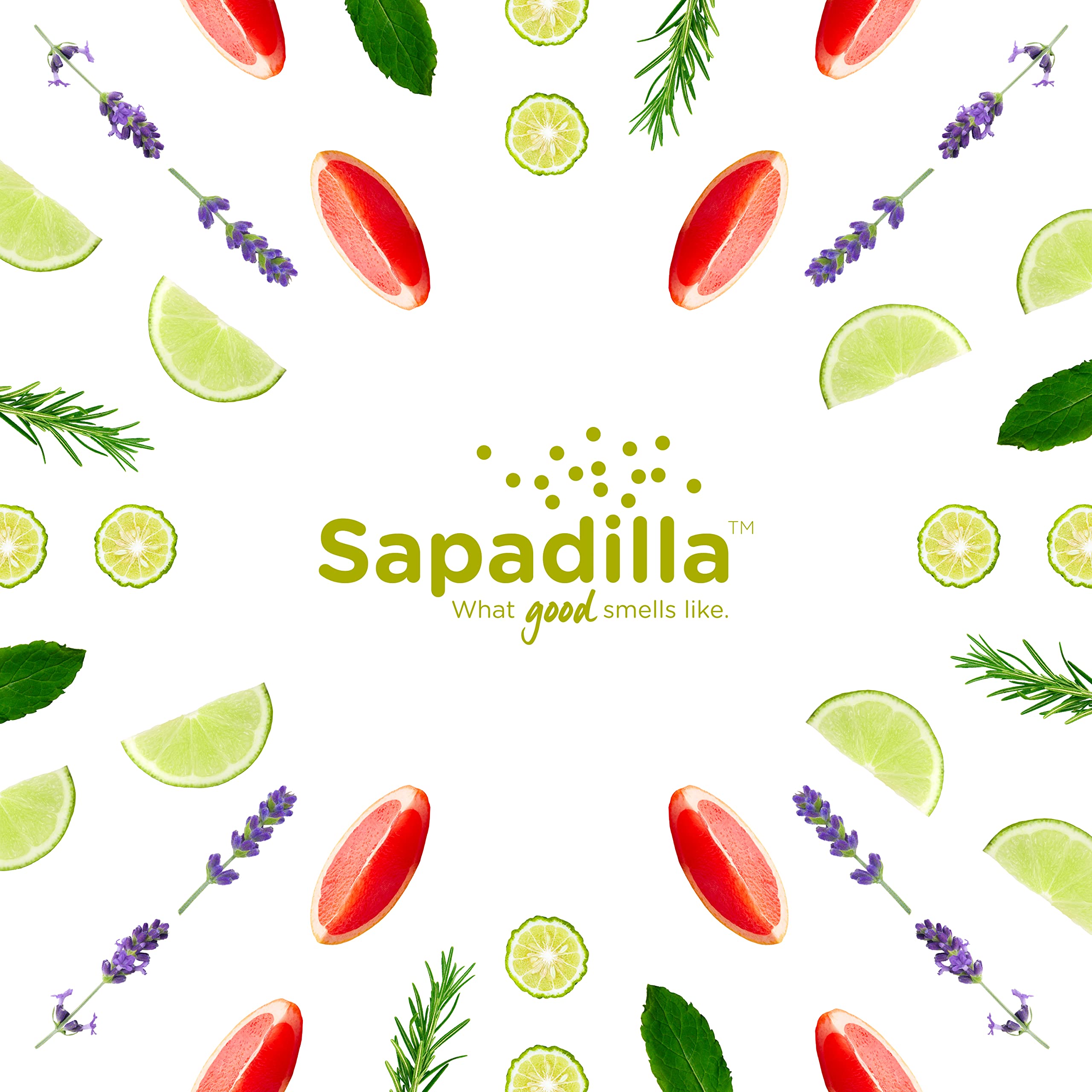 Sapadilla Rosemary + Peppermint Liquid Hand Soap | 12 oz x2 Pack – Plant-Based, Biodegradable