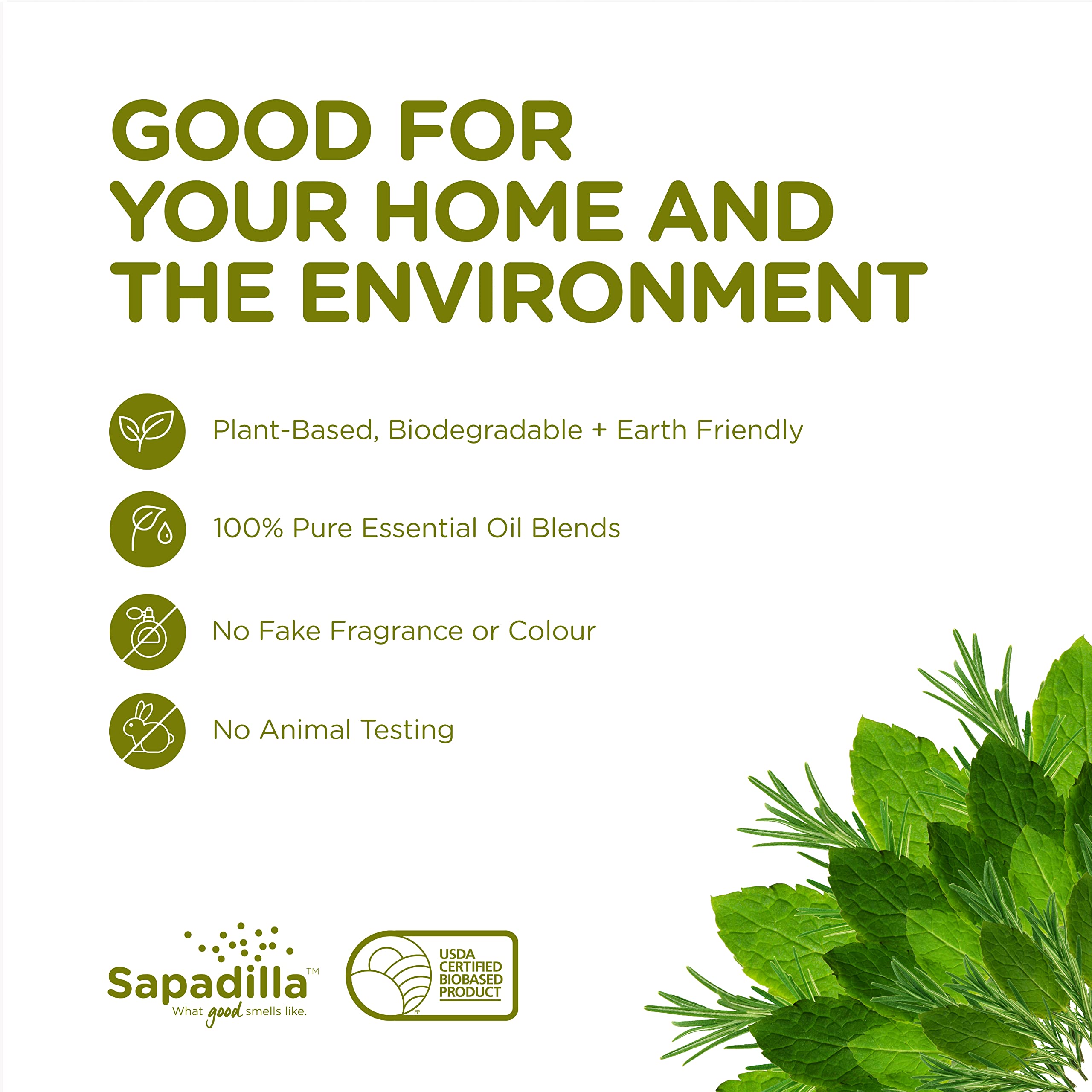 Sapadilla Rosemary + Peppermint Liquid Hand Soap | 12 oz x2 Pack – Plant-Based, Biodegradable