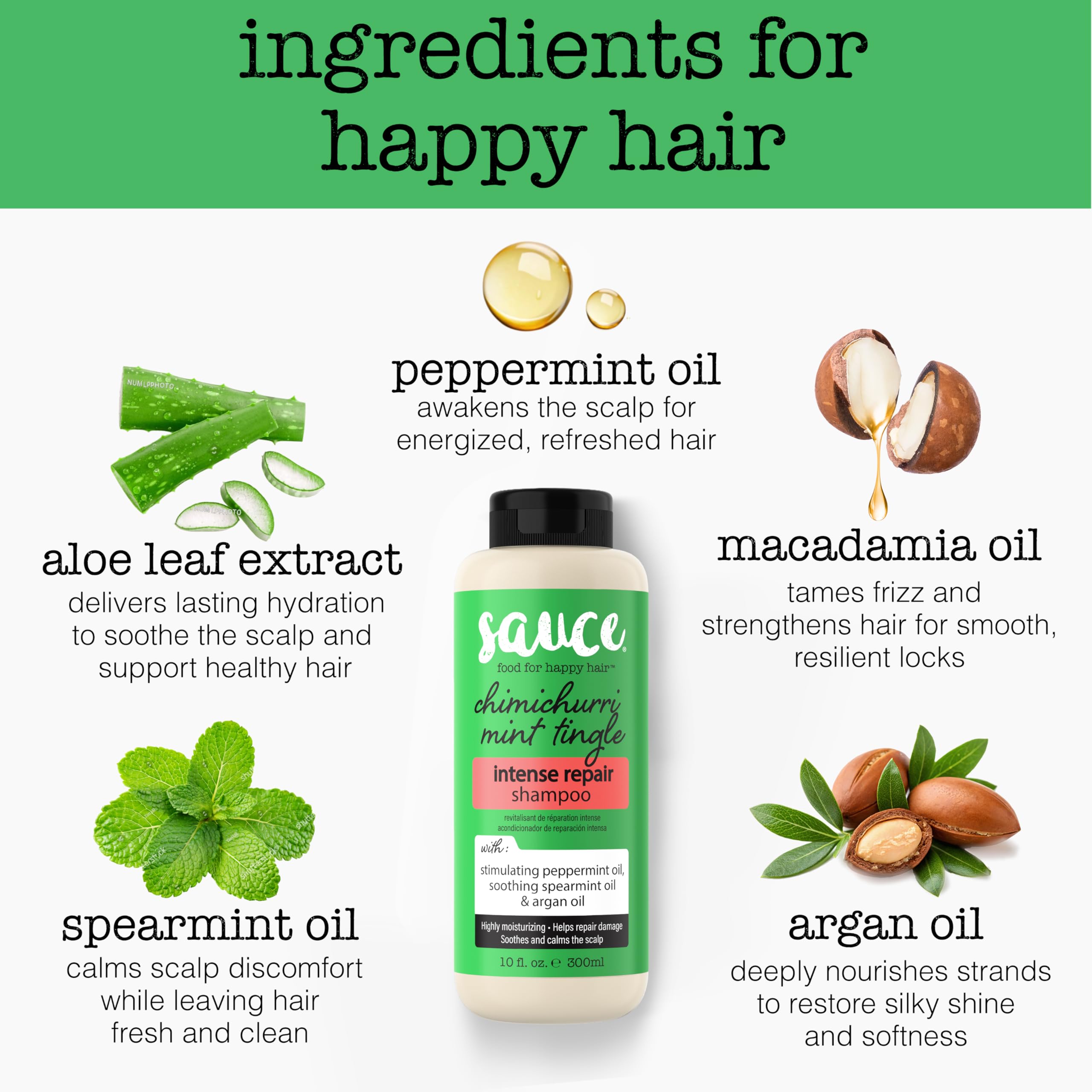 SAUCE Beauty Intense Repair Shampoo – Chimichurri Mint Tingle, Argan Oil, Paraben & Sulfate Free (10 fl oz)