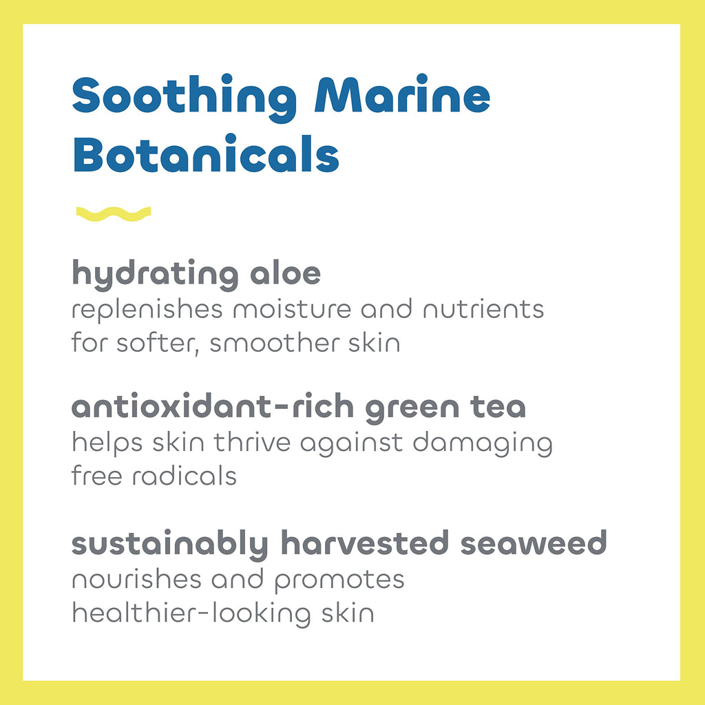 Seaweed Bath Co. Sheer Protect SPF 30 Daily Cream – 3.4oz, Hybrid Broad Spectrum Sunscreen with Aloe & Green Tea