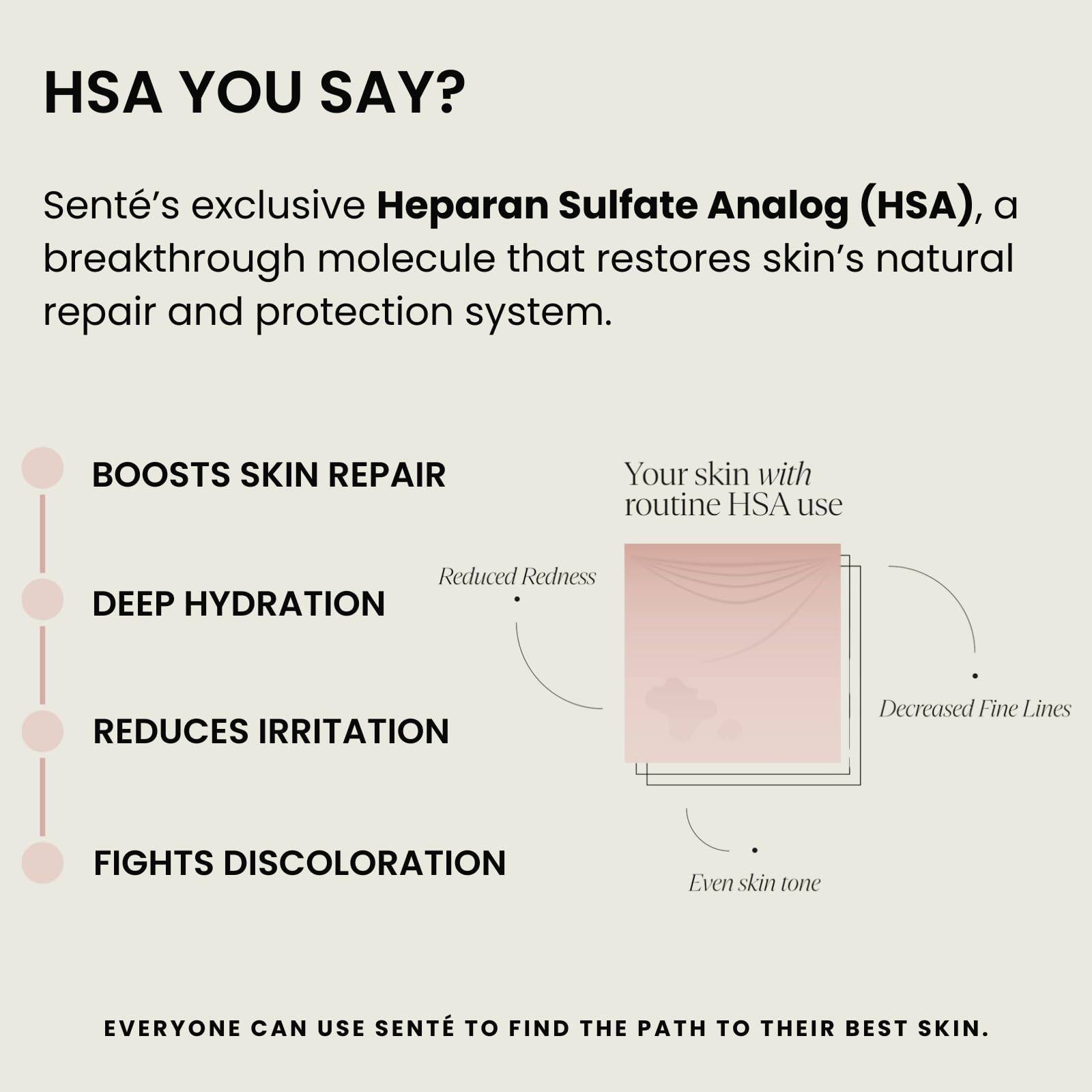 Sente Hydrate+ Serum | Hyaluronic Acid with HSA for Glass Skin | Deep Hydration & Barrier Support | Fragrance-Free | 1.0 oz