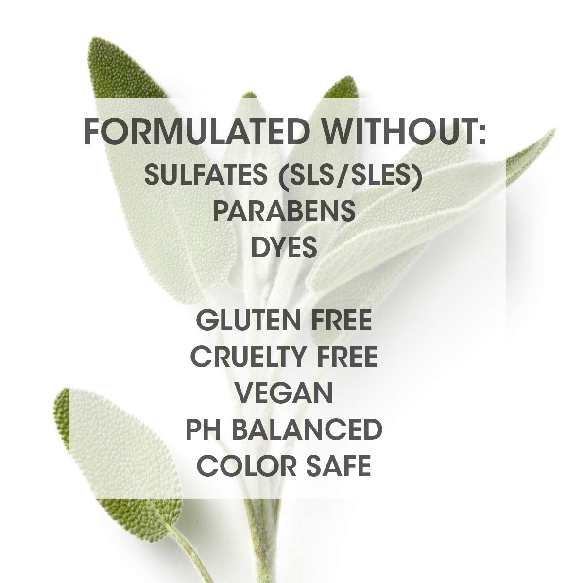SEVEN Satara Volume Shampoo – Sulfate-Free, Vegan, Made in USA