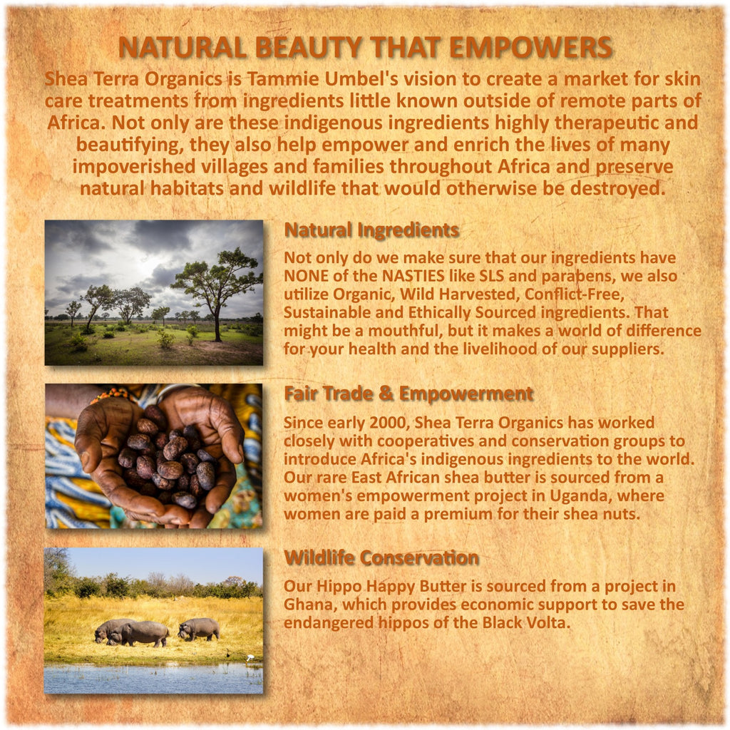 Nilotik’ Shea Butter Ultra-Rich Lotion – Marrakesh Menthe Vanilla, 16 oz | Shea Terra Organics