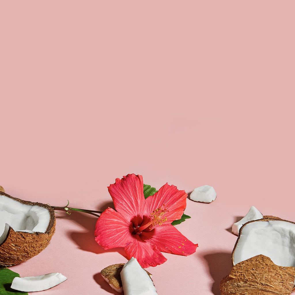 SheaMoisture Coconut Hibiscus Curl Shampoo, Conditioner & Hold & Shine Mist – Lightweight, Silicone-Free