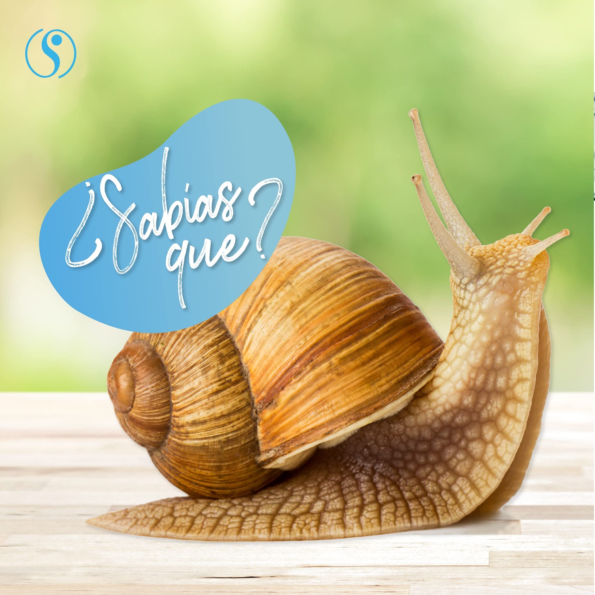 Sheló NABEL Baba de Caracol Snail Cream Face Moisturizer – Hydrating Daily Skincare