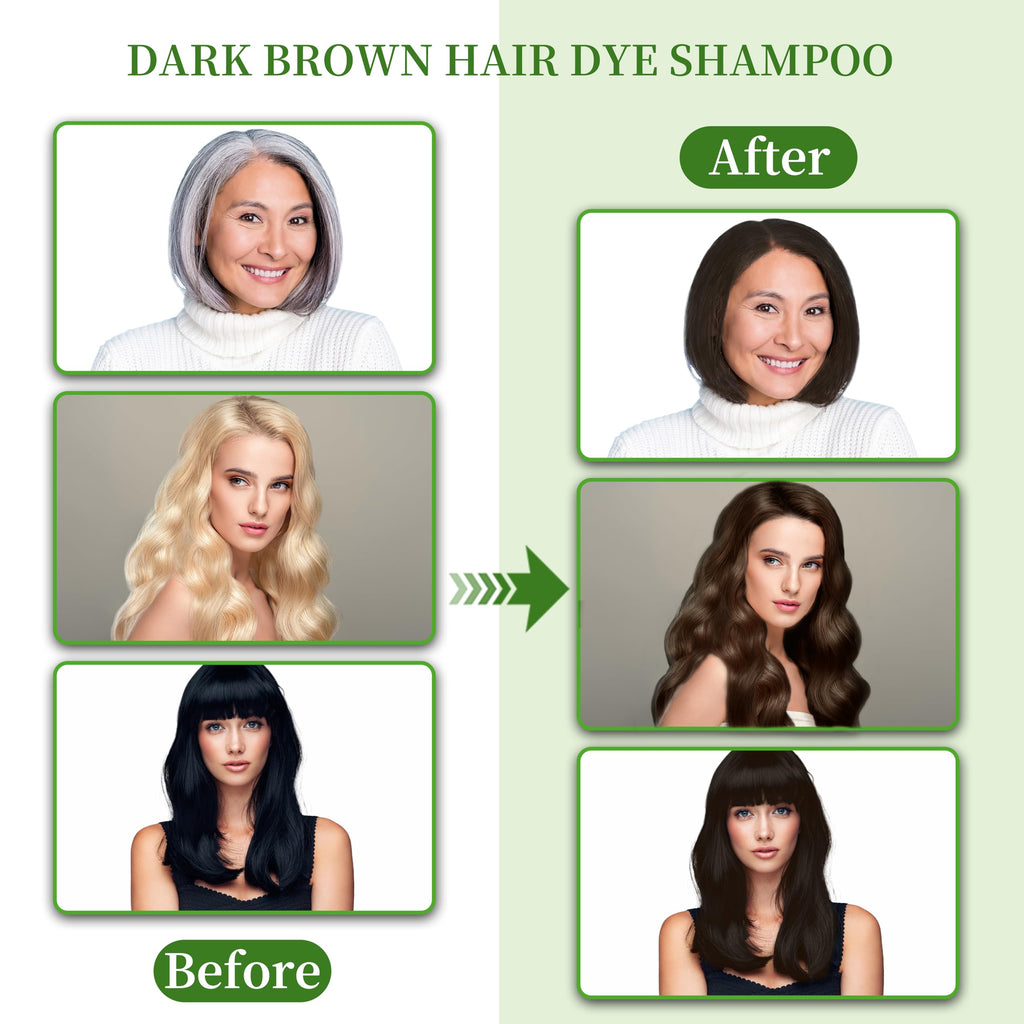 SHIHUANUO Hair Dye Shampoo 3 in 1 – Ammonia-Free Dark Brown, Herbal Formula | 520ml