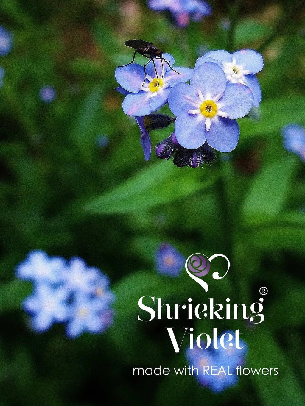 Purple Flower Huggie Earrings