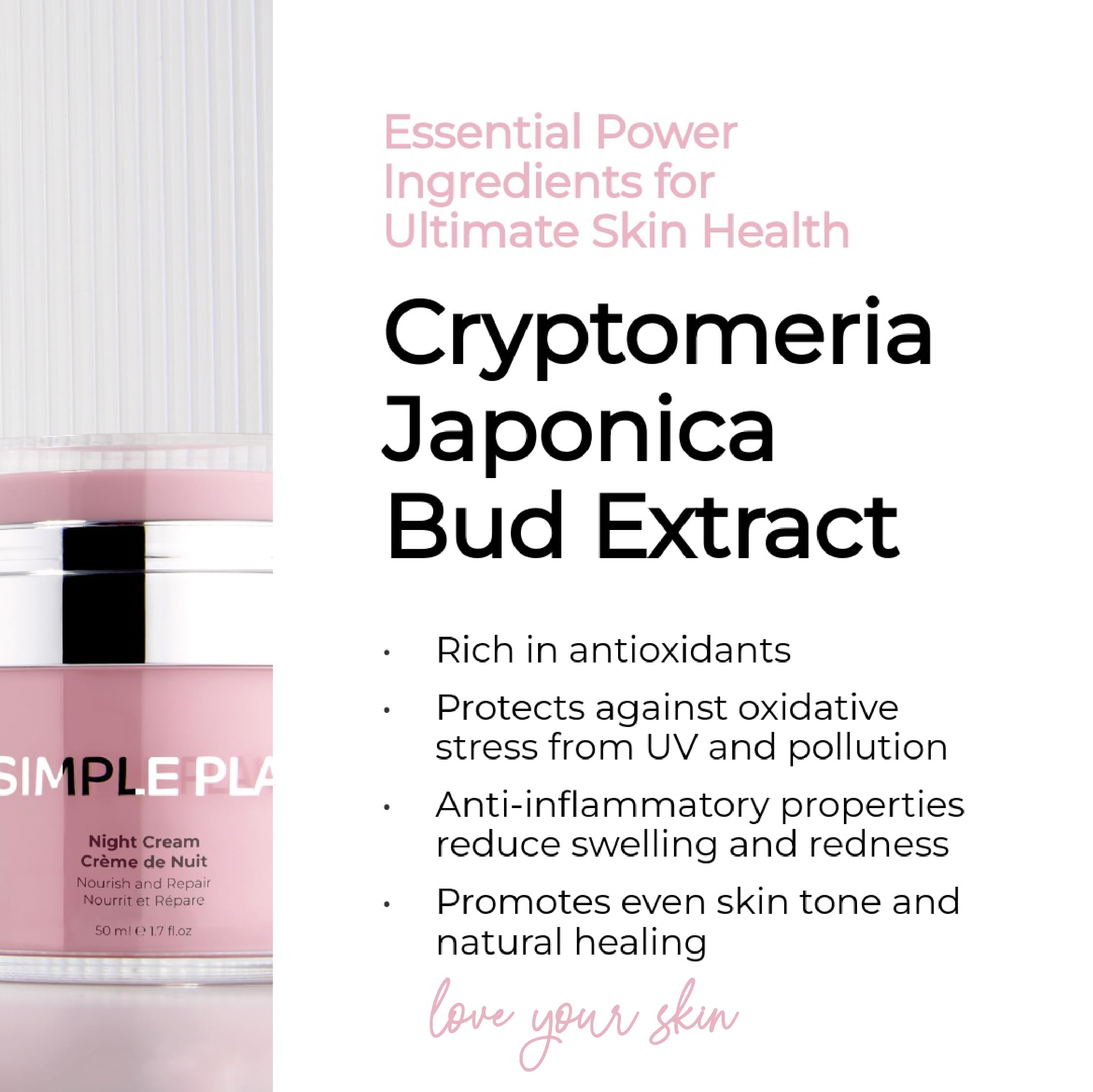 SIMPLE PLAN Night Cream – Hydrating Ceramides + Hyaluronic Acid for Overnight Moisture | Anti-Aging Night Cream 50ml