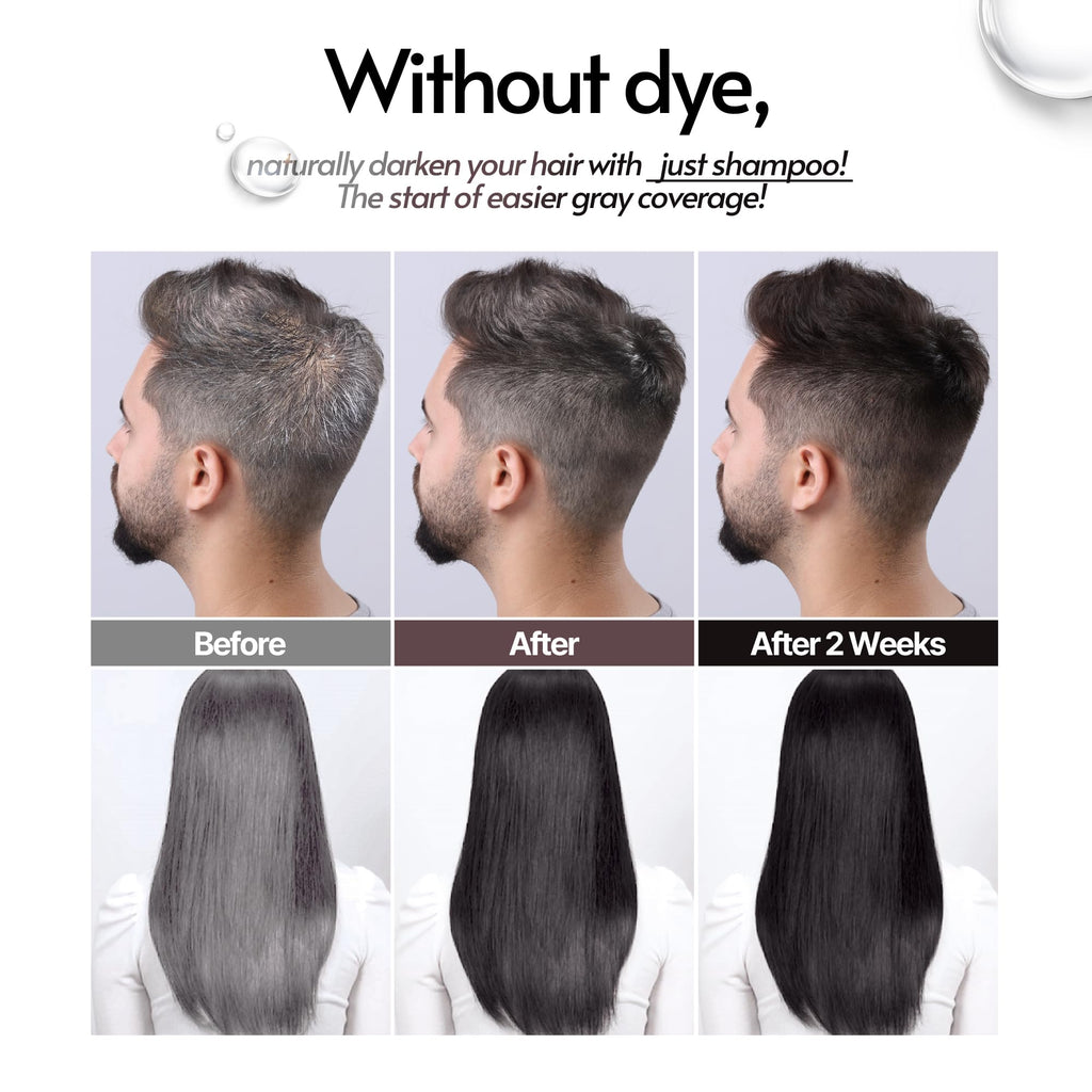 SMIB Lactobio Hair Dye Shampoo | Gentle Korean Formula for Daily Use | Gradual Gray Reduction with Probiotics