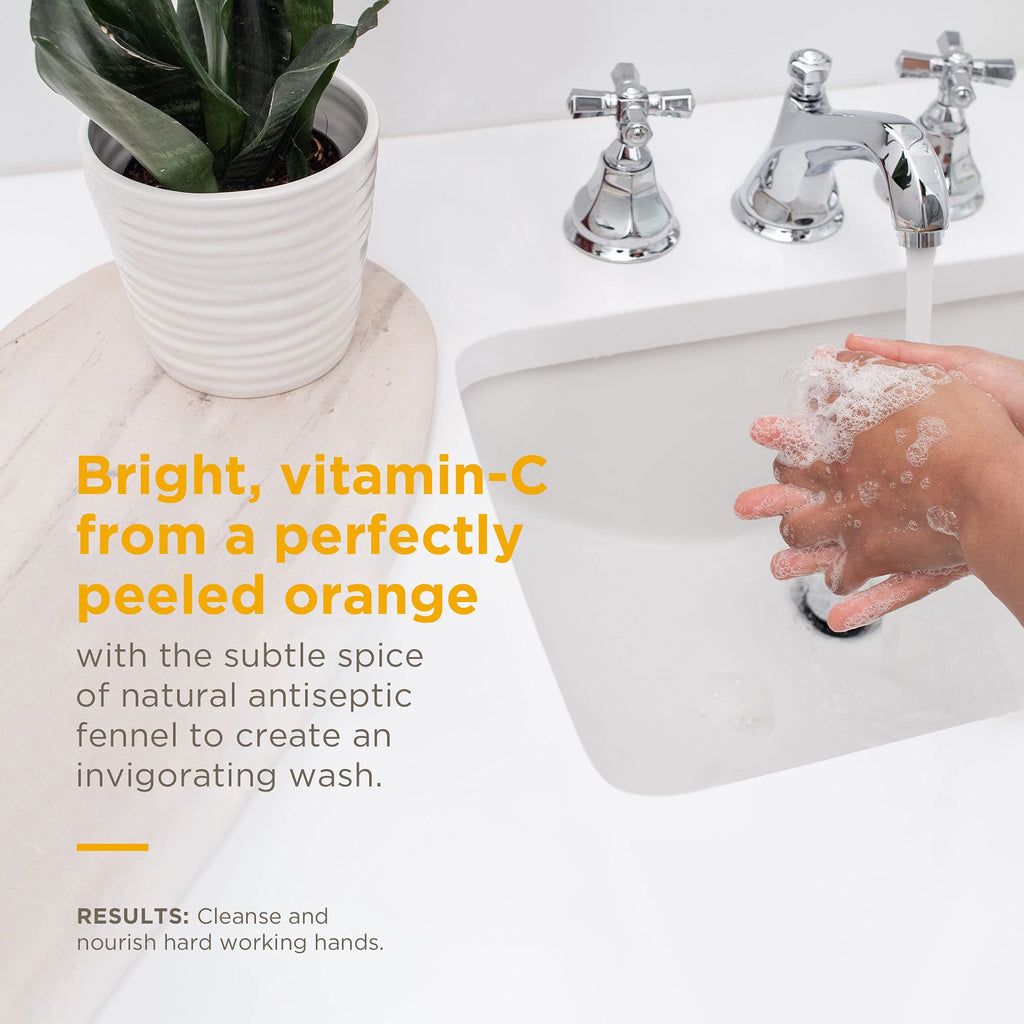 Soapbox Foaming Hand Soap Orange Zest & Fennel – 11oz Pump, 3 Pack | Cruelty Free & Vegan Moisturizing