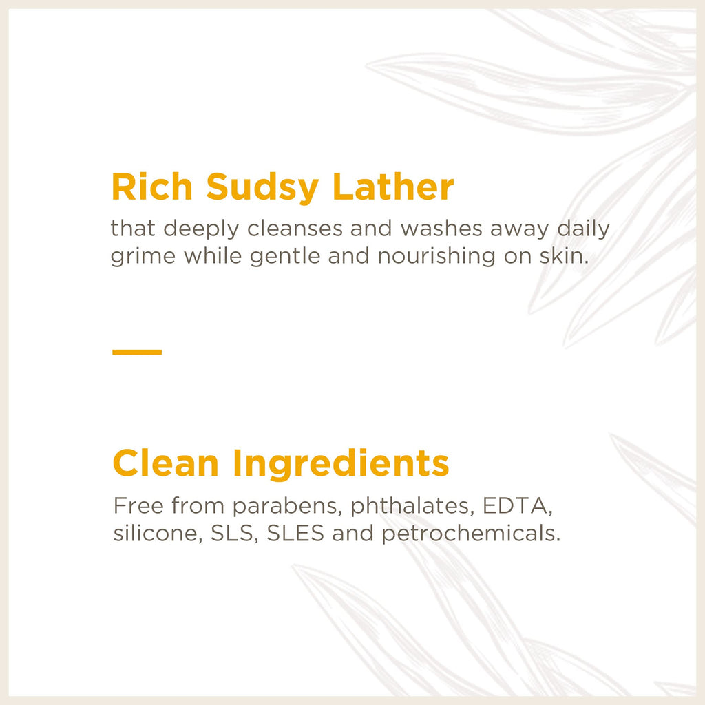 Soapbox Foaming Hand Soap Orange Zest & Fennel – 11oz Pump, 3 Pack | Cruelty Free & Vegan Moisturizing