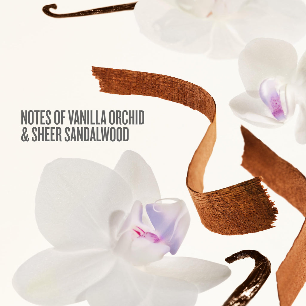 Sol de Janeiro Delícia Drench Vanilla Gift Set – Shower Oil, Body Butter & Cheirosa 59 Mist