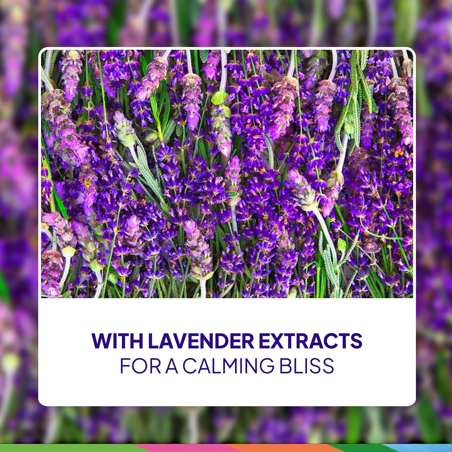 St. Ives Lavender & Chamomile Calming Shower Gel 2-Pack | 22 oz