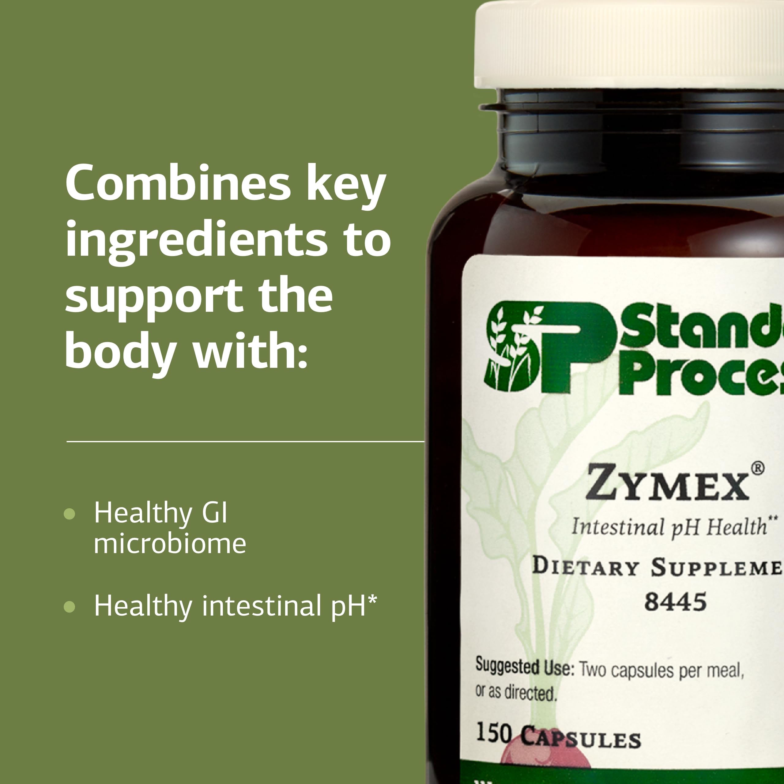 Standard Process Zymex Capsules – Digestive Health Support (Gluten-Free, Non-Dairy)