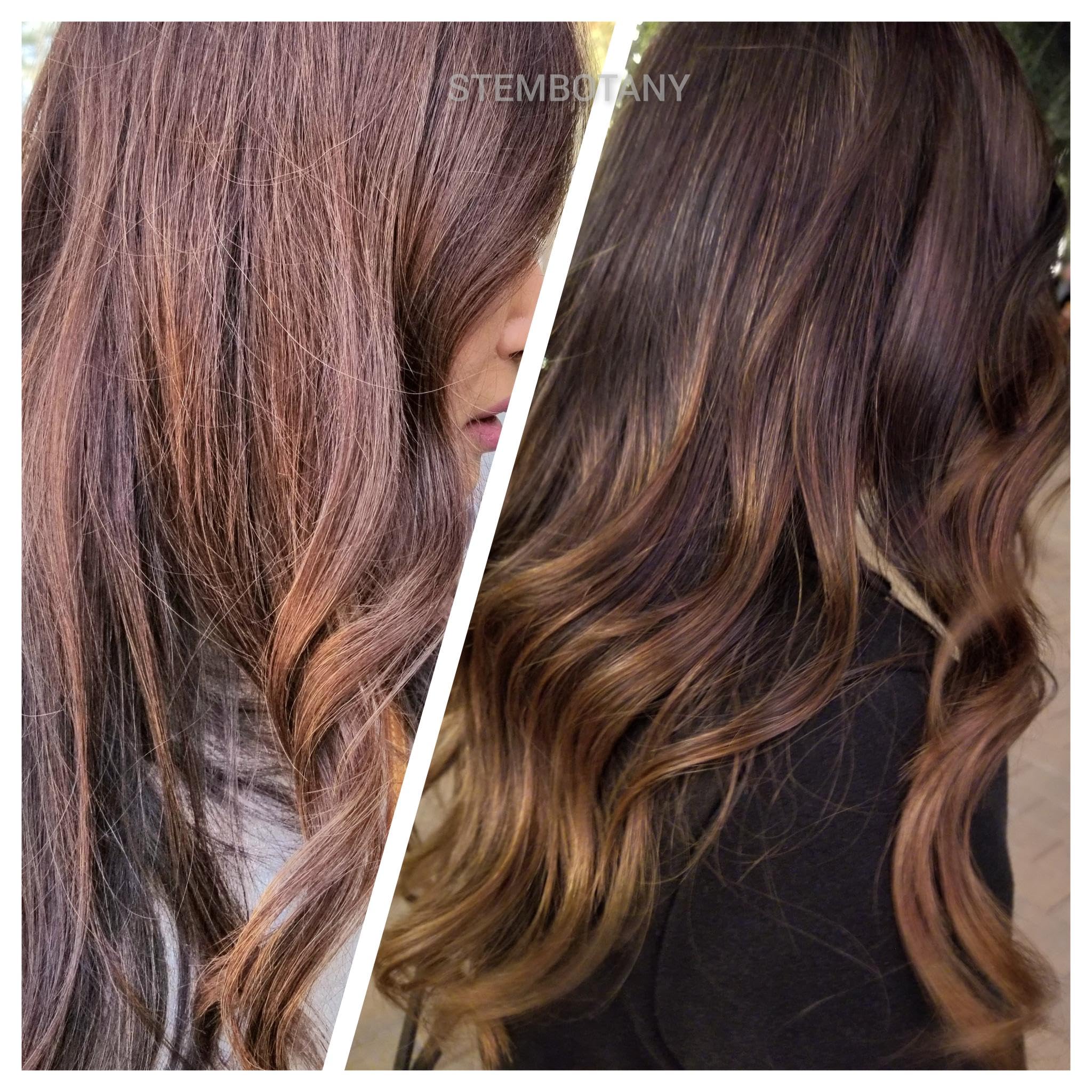 StemBotany Stem Cell Shampoo for Fine Hair — Color-Safe, Organic Formula