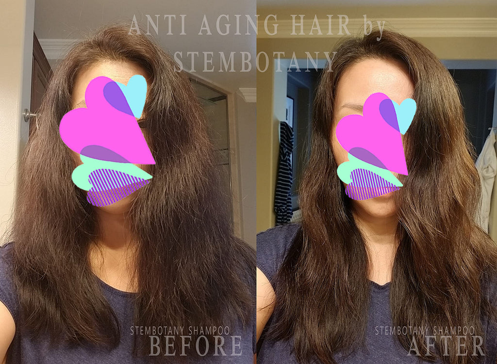 StemBotany Stem Cell Shampoo for Fine Hair — Color-Safe, Organic Formula