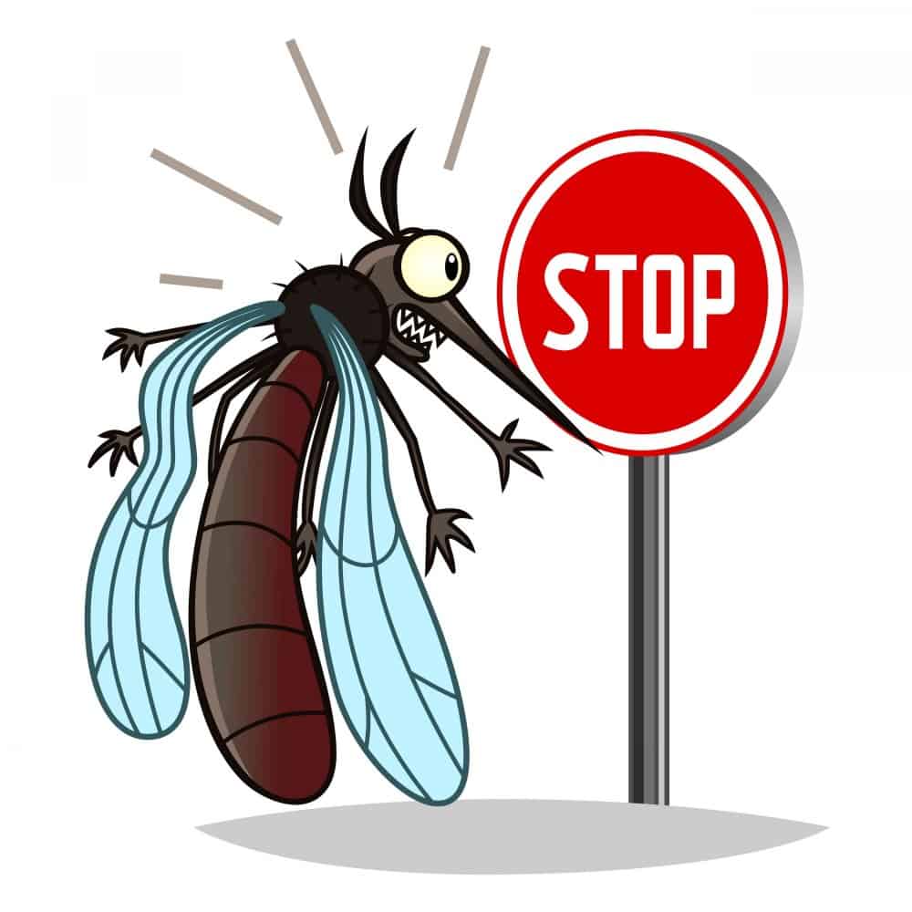 Bug Off! - All Natural Insect Repellent